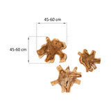 Teak Freeform Wall Decoration