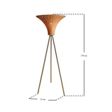 Avant Garde Floor Lamp
